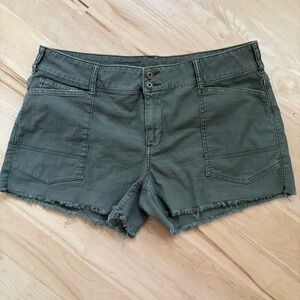 Anthropologie Pilcro the Wanderer Green shorts